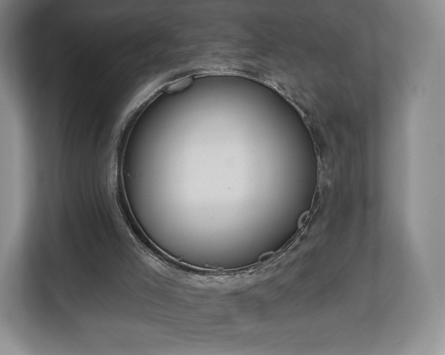 X0000112720005200908271417