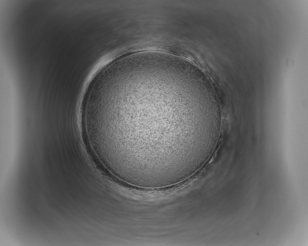 X0000112720006200908271417