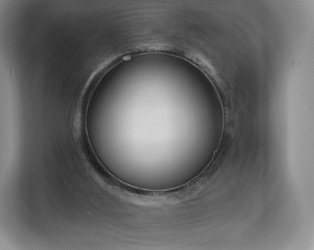 X0000112720012200908271417