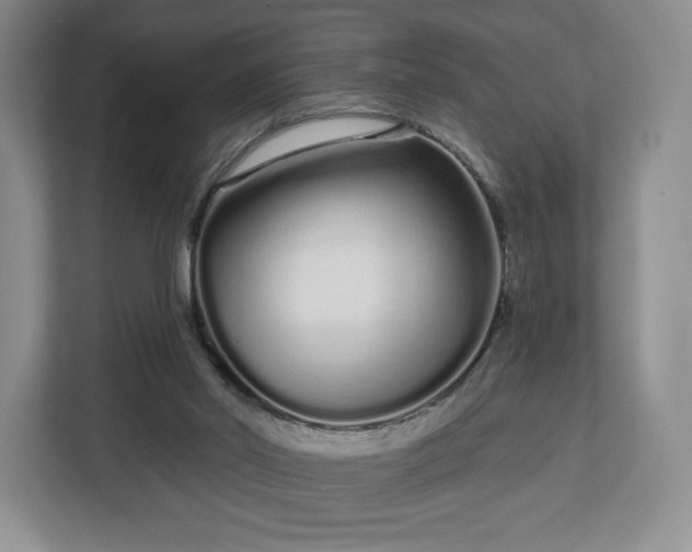 X0000112720014200908271417