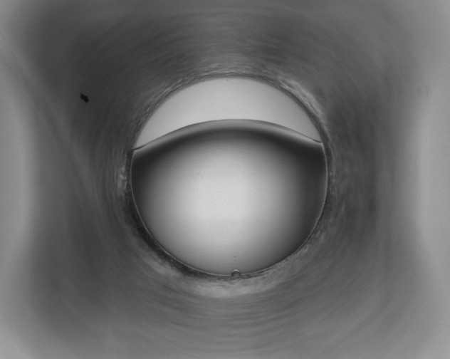 X0000112720017200908271417