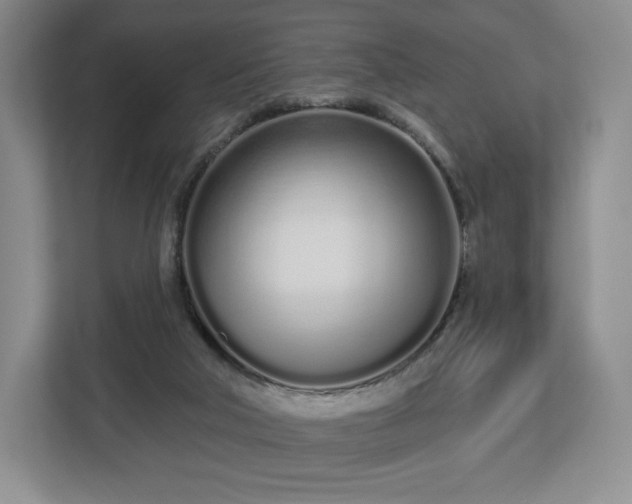 X0000112720018200908271417