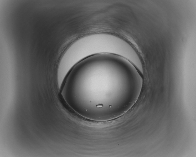 X0000112720019200908271417