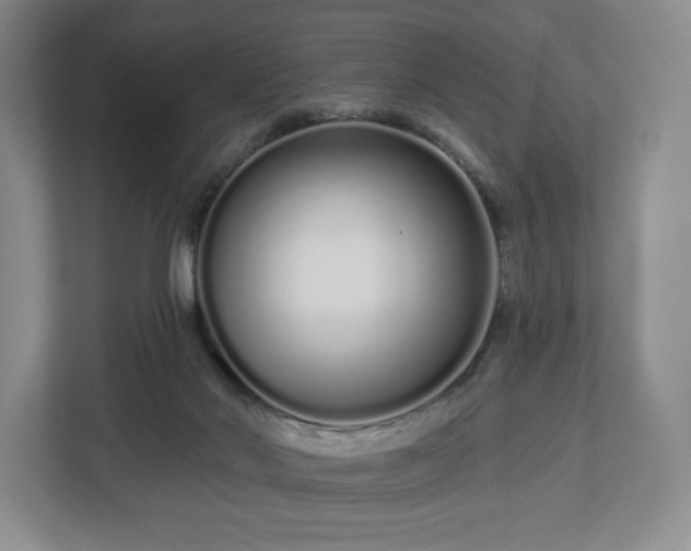 X0000112720022200908271417