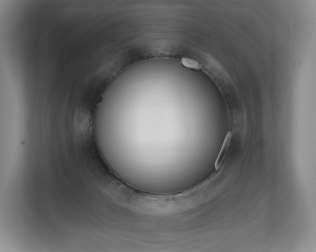 X0000112720029200908271417