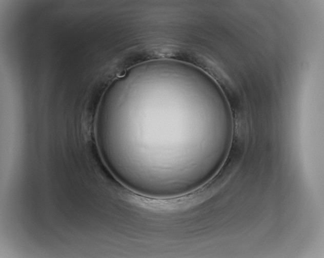 X0000112720030200908271417