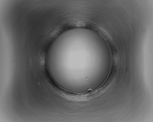 X0000112720032200908271417