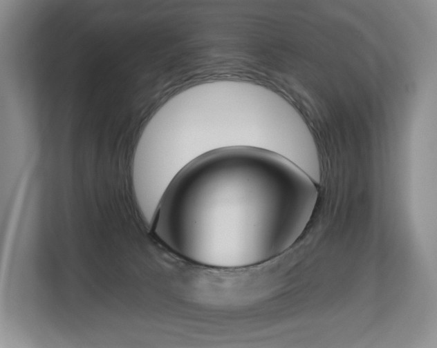 X0000112720033200908271417