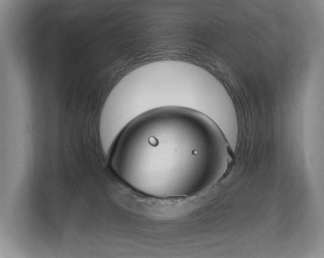 X0000112720037200908271417