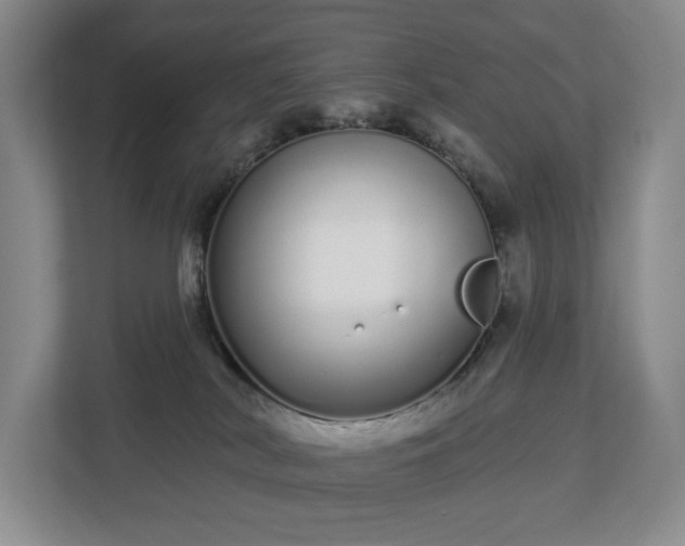 X0000112720038200908271417