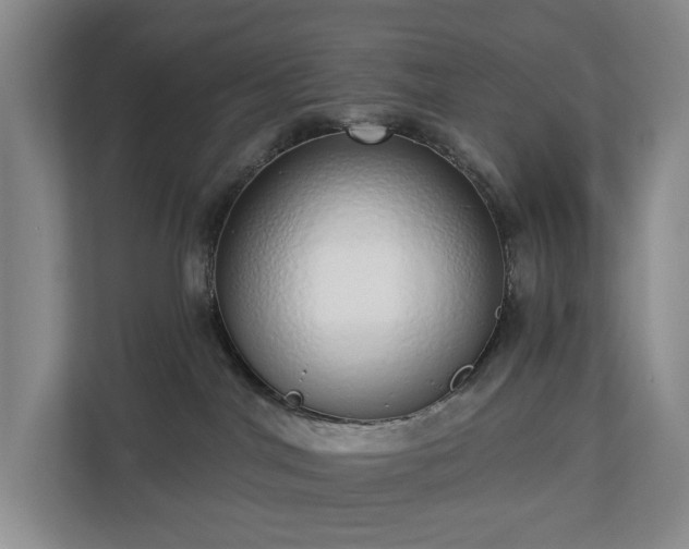 X0000112720044200908271417