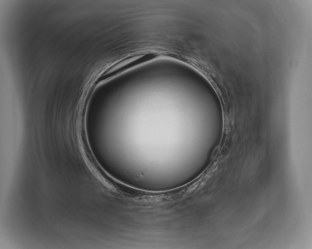 X0000112720049200908271416