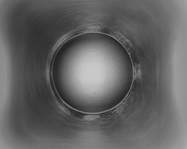 X0000112720051200908271416