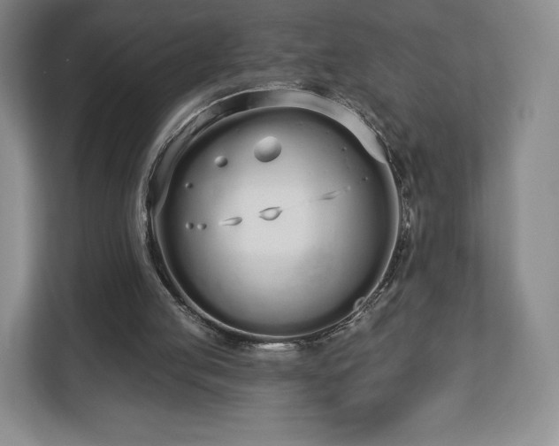 X0000112720053200908271416