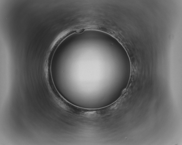 X0000112720054200908271416