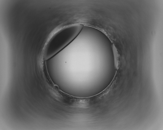 X0000112720056200908271416