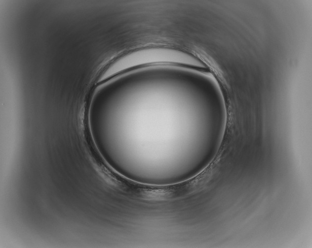 X0000112720058200908271416