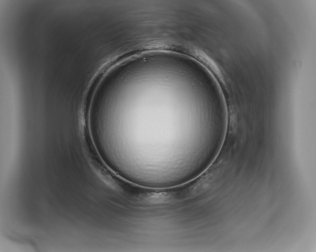 X0000112720059200908271416