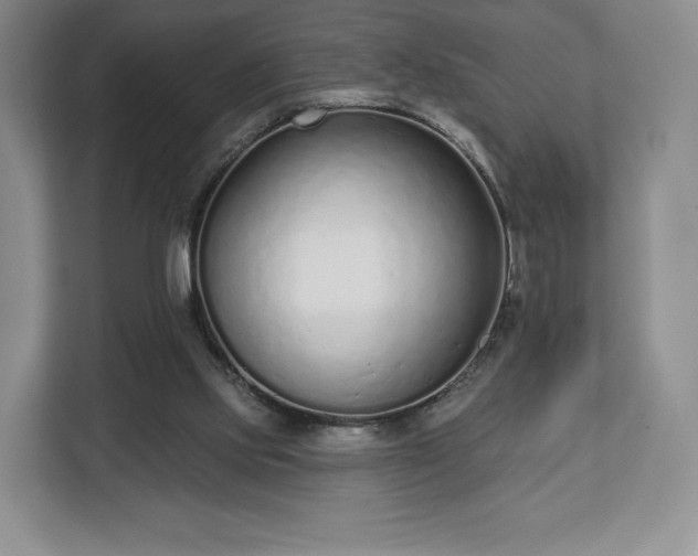 X0000112720061200908271416