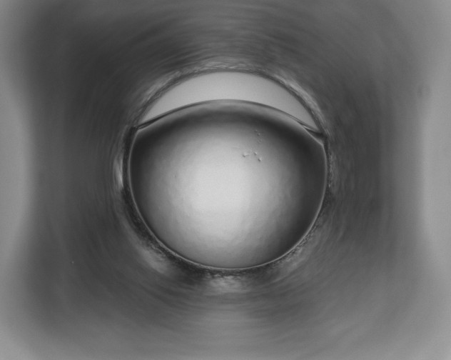 X0000112720062200908271416