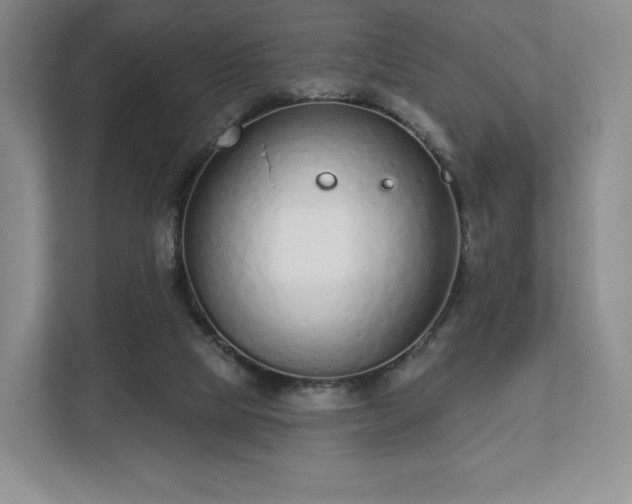 X0000112720065200908271416