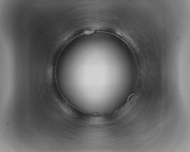 X0000112720066200908271416