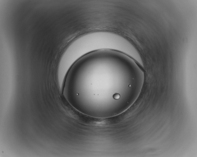 X0000112720068200908271416