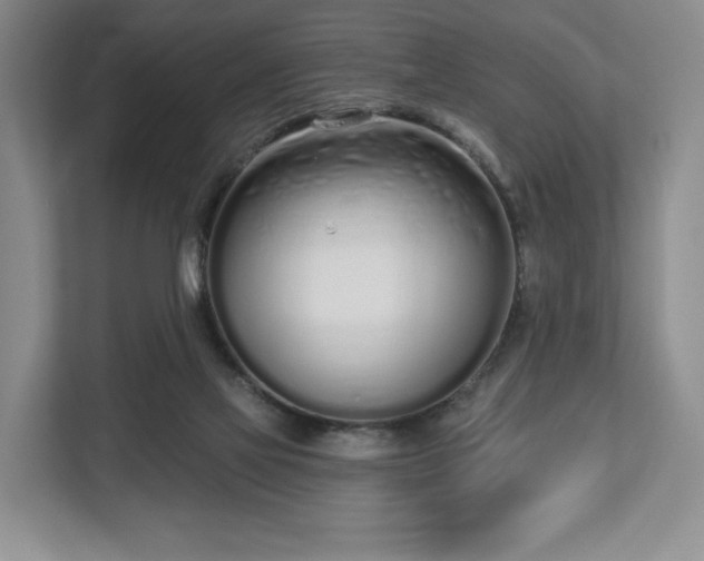 X0000112720069200908271416