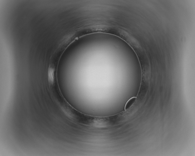 X0000112720070200908271416