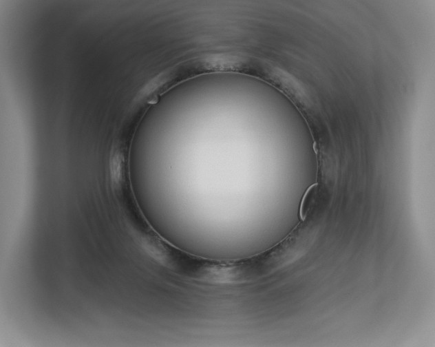 X0000112720071200908271416