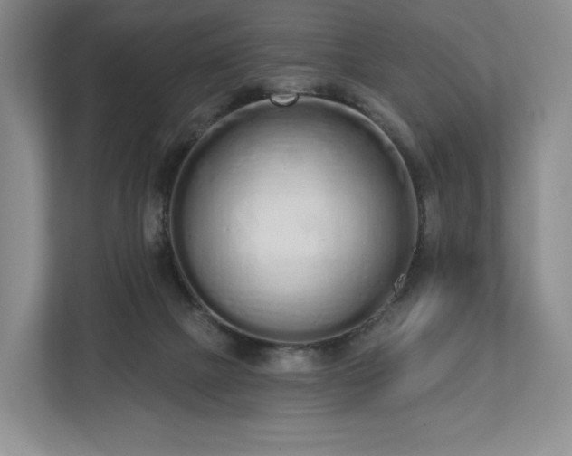 X0000112720073200908271416