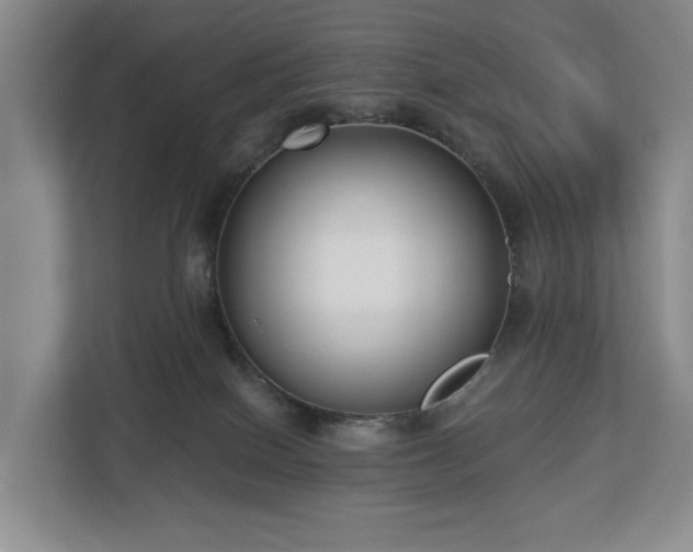 X0000112720086200908271417