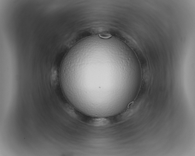 X0000112720087200908271417