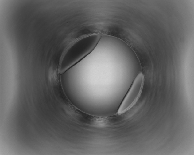 X0000112720088200908271417