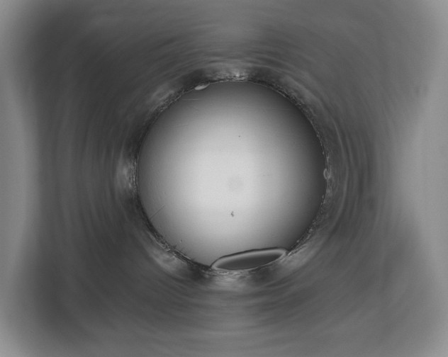 X0000112720096200908271417