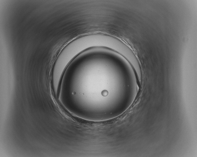 X0000112720097200908271416