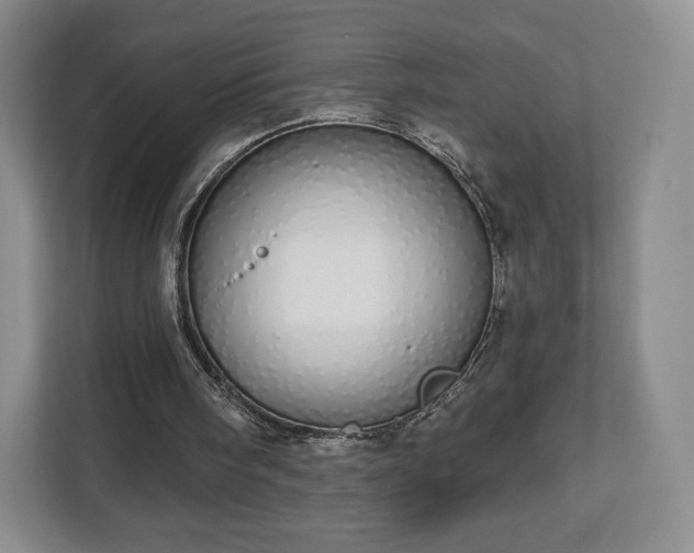 X0000112720098200908271416