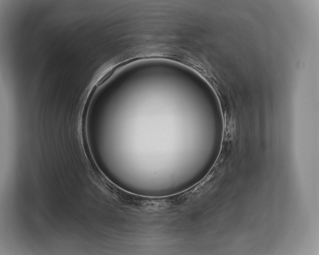 X0000112720099200908271416