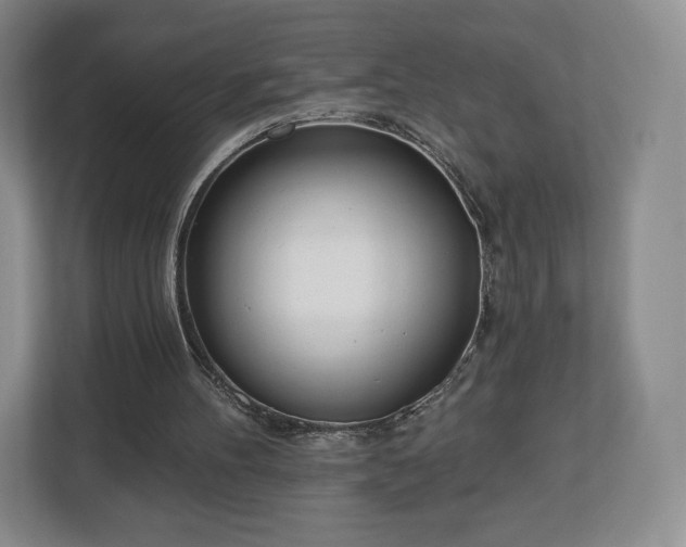 X0000112720100200908271416