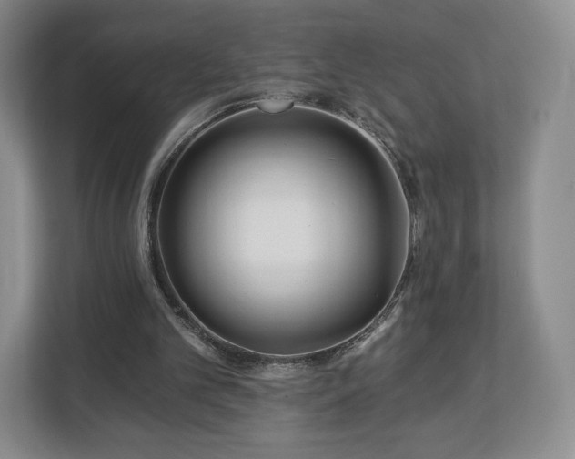 X0000112720101200908271416