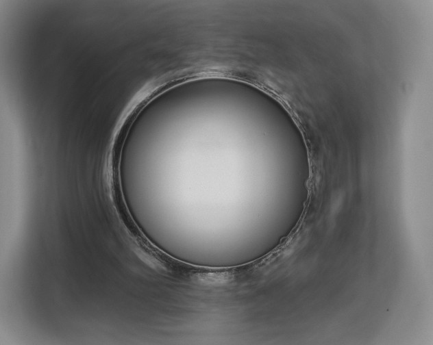 X0000112720102200908271416