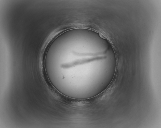 X0000112720103200908271416