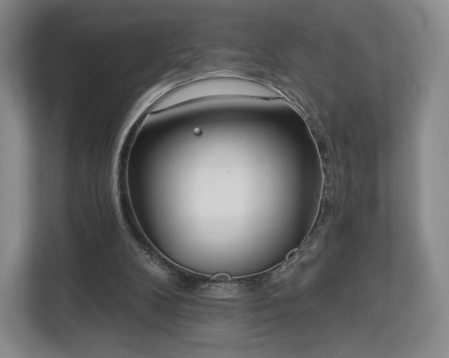 X0000112720104200908271416