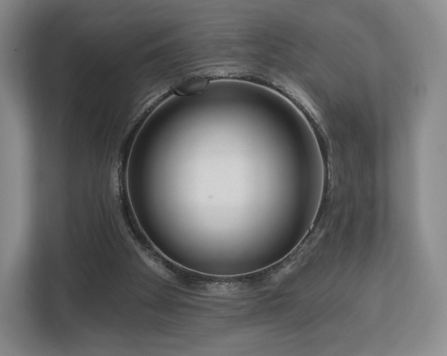 X0000112720105200908271416