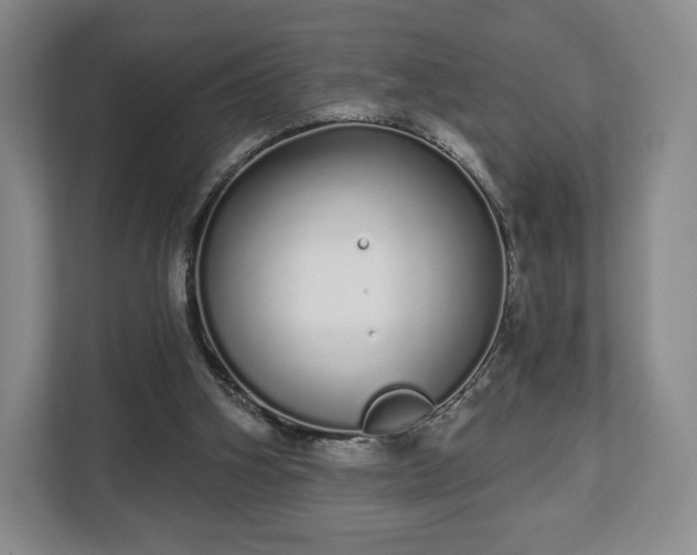 X0000112720106200908271416