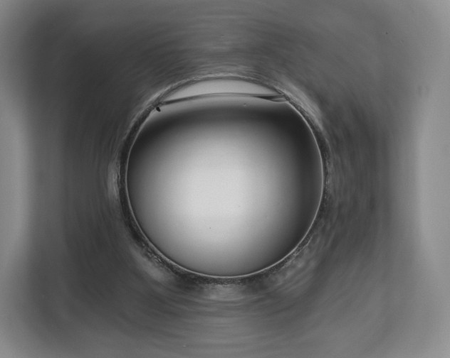 X0000112720107200908271416