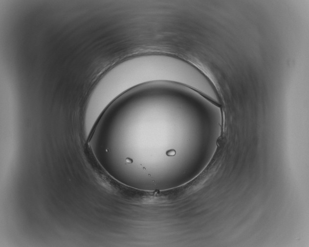 X0000112720109200908271416