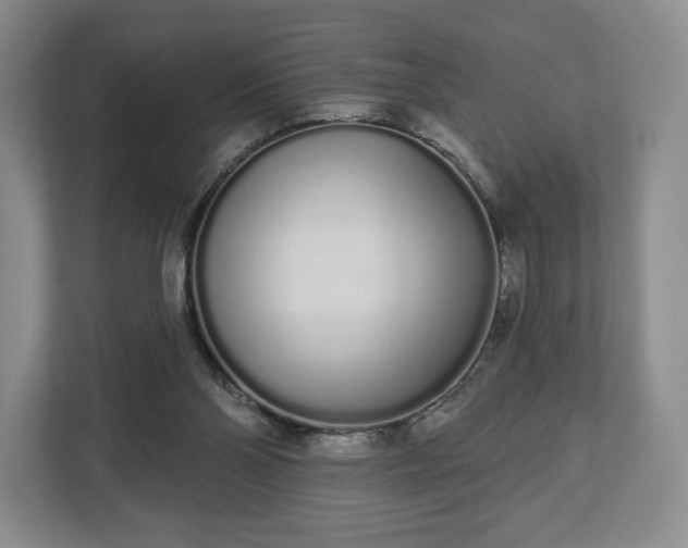 X0000112720110200908271416