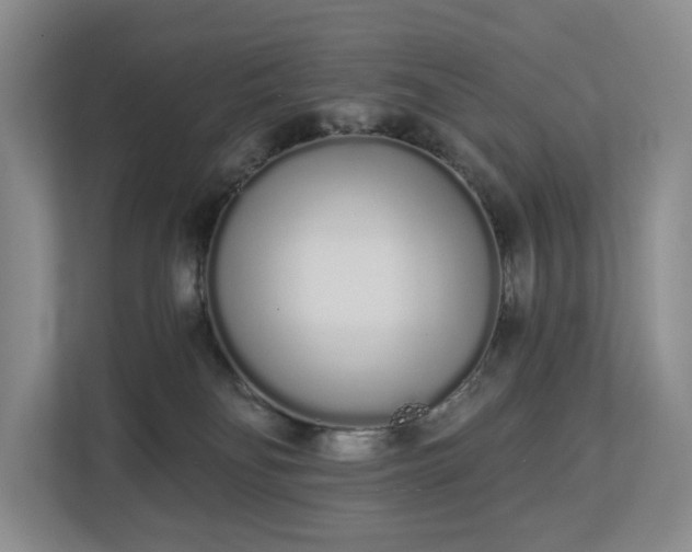 X0000112720134200908271416