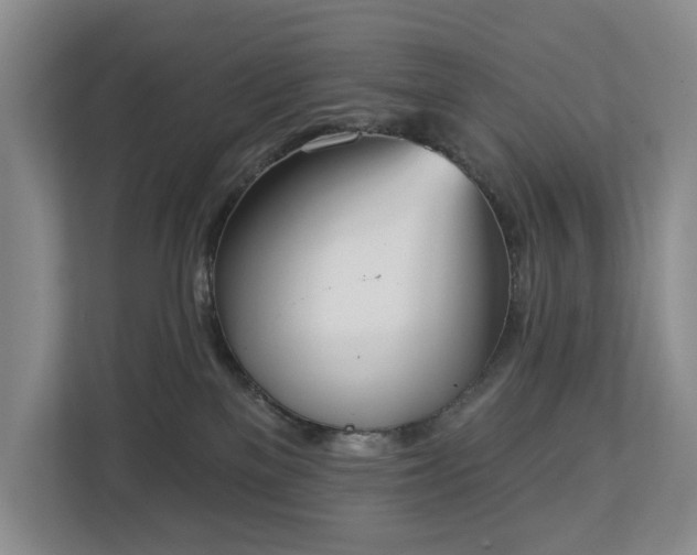 X0000112720137200908271416